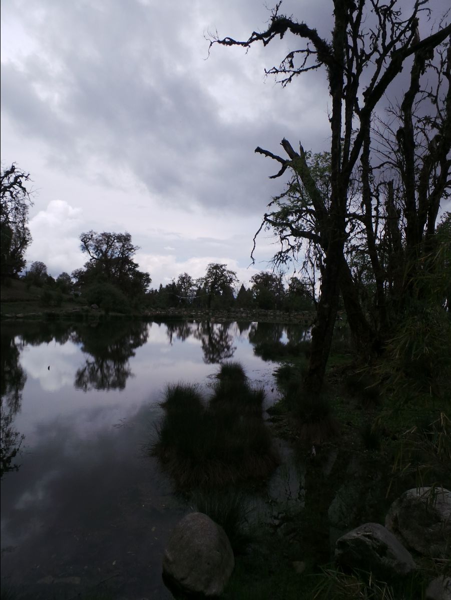 The Royal Botanical Park29